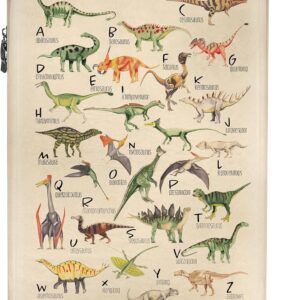 NoBoringSuitcases.com® Kinderkoffer Geschenk Junge Handgepäck Koffer Klein Hartschalenkoffer Trolli Kinder - Dino - Alphabet - Retro - Braun - Trolley, 55x40x20